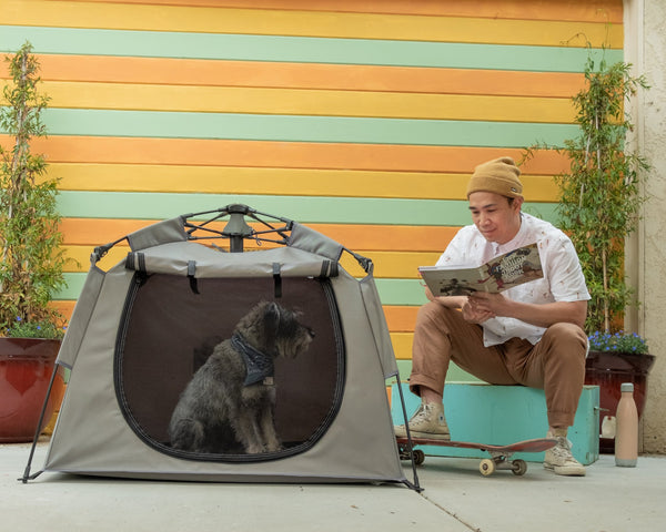 The Best Way to Crate Train Your Dog: The Pop 'N Go® Pets Playpen