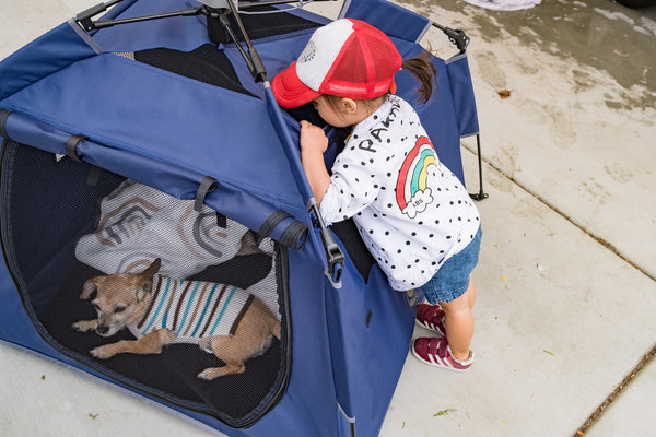 With the Pop ‘N Go Pets Playpen, Your Kid can Bond with Their Best Friend All Summer Long