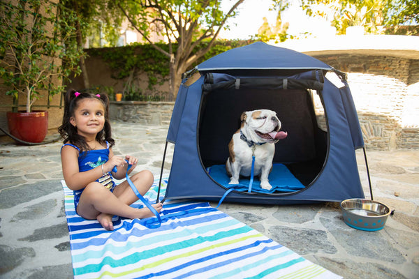 Five Unexpected Ways A Playpen for Your Pet Will Come In Handy