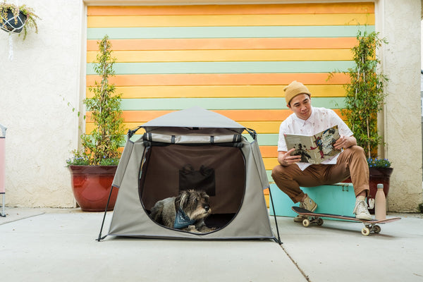 With the Pop ‘N Go Pets Playpen, Your Pets Can Always Tag Along