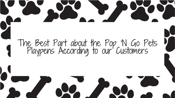 The Best Part about the Pop ‘N Go Pets Playpens According to our Customers