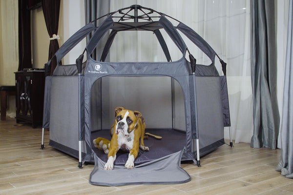 Why Your Pets Benefit From The Pop N Go Playpen