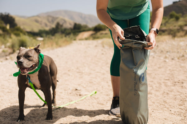 The Camping Essentials for Your Pet: Five Must-Haves